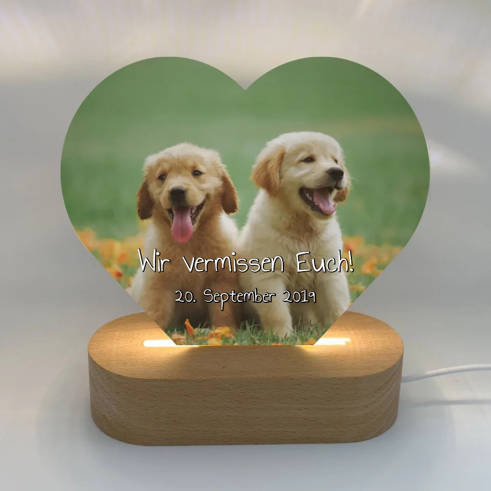 Personalisierte LED Bilder: beleuchtete Hunde Herztafel - individuelles Acryl LED Licht in Herzform | Personalize Palace