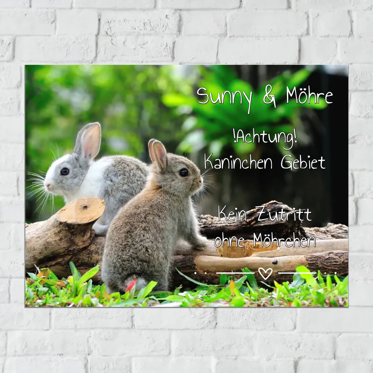 Personalisiertes Schild: Hasen und Kaninchen Stall-, Boxenschild mit Foto und Text - individuelles Schild | Personalize Palace