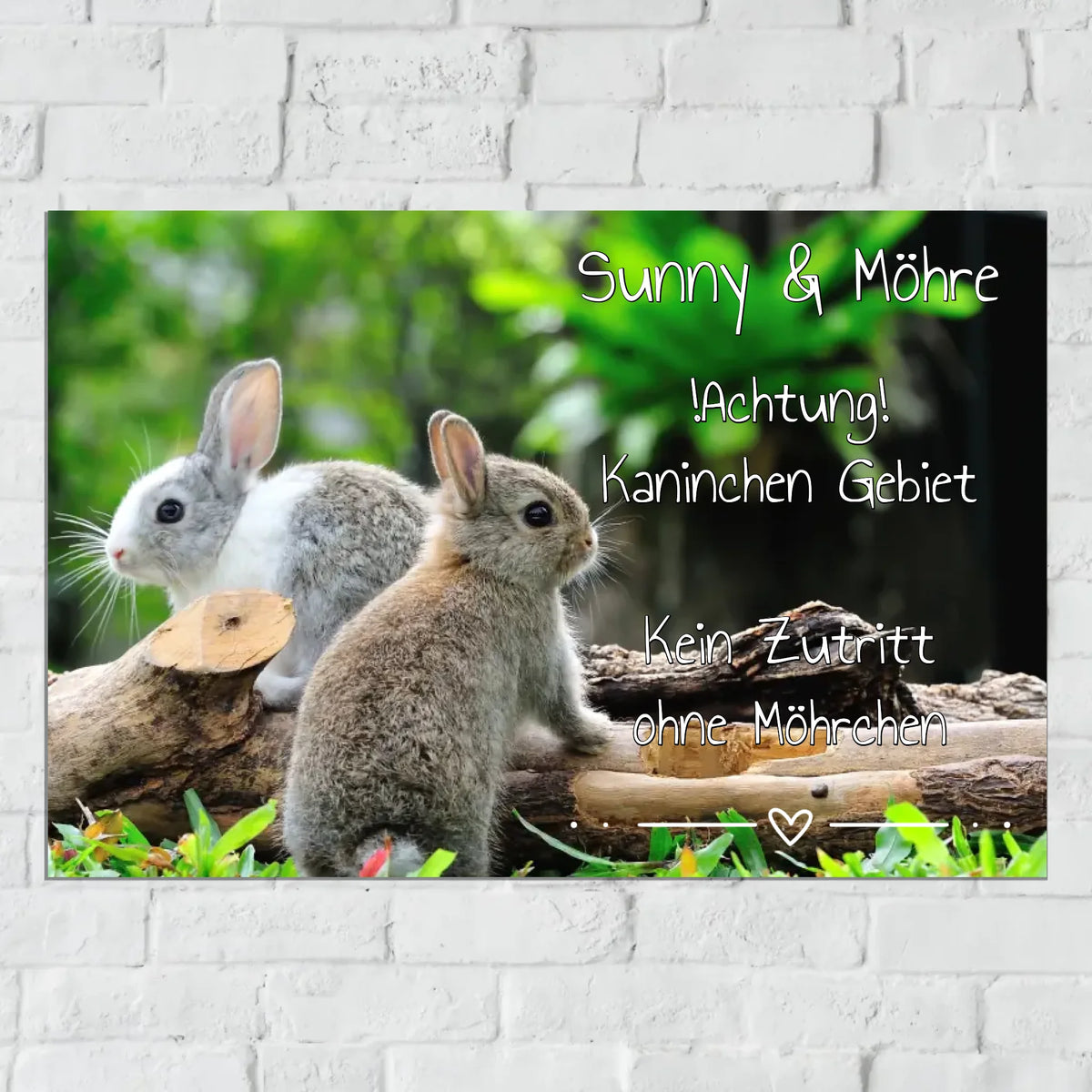 Personalisiertes Schild: Hasen und Kaninchen Stall-, Boxenschild mit Foto und Text - individuelles Schild | Personalize Palace
