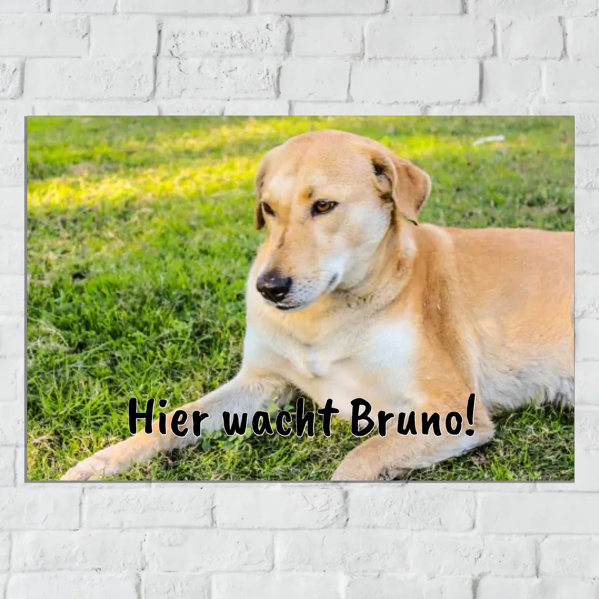 Personalisiertes Schild: Foto Metallschild für Haus und Garten - Individuelles Schild | Personalize Palace