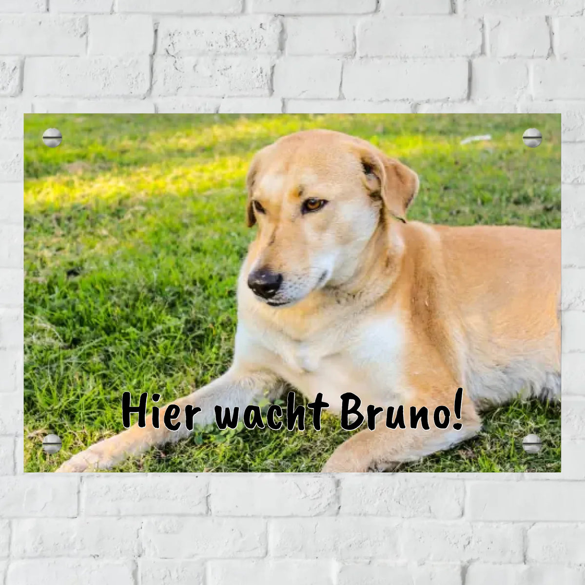 Personalisiertes Schild: Türschild mit Foto - Individuelles Haustürschild | Personalize Palace