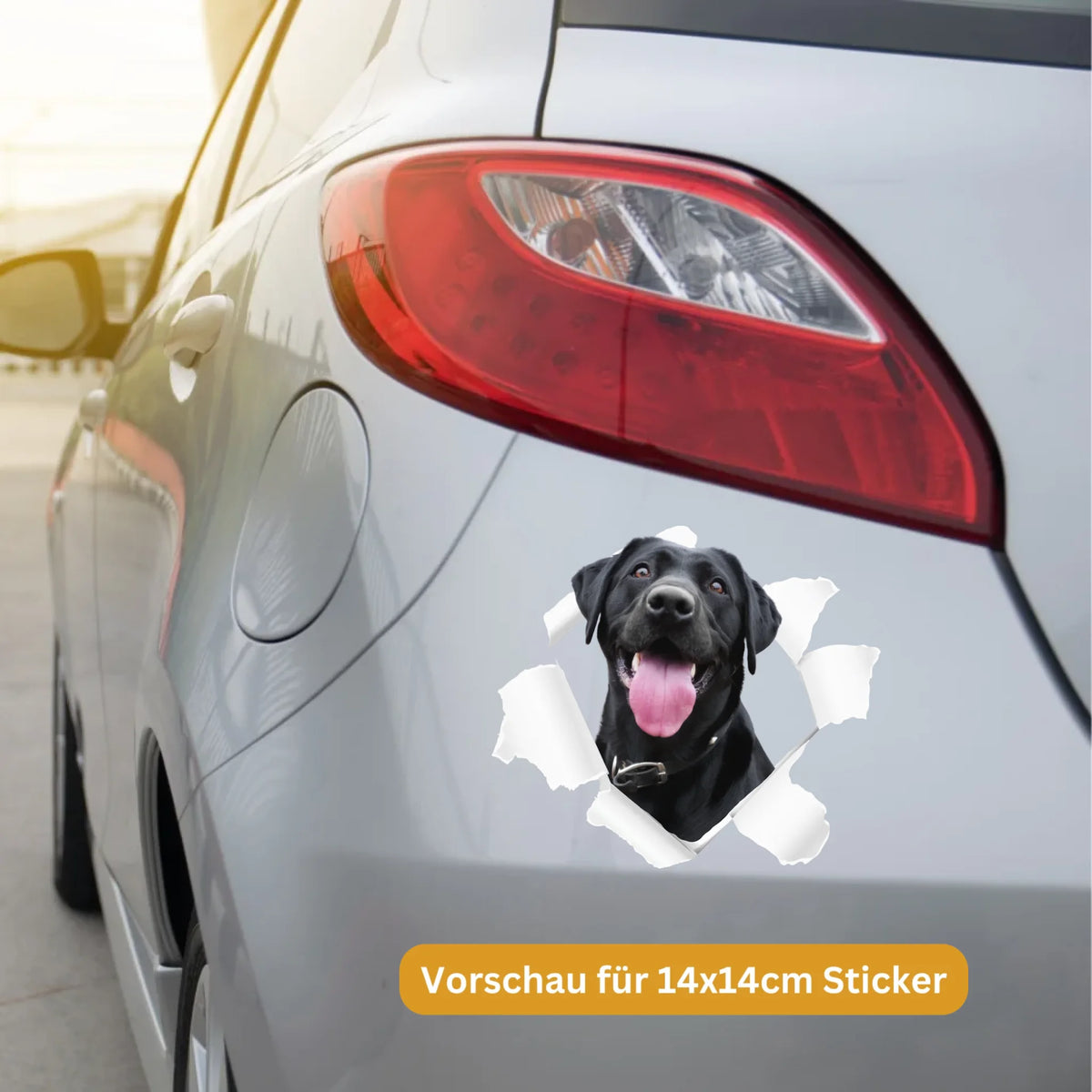 Spähendes Foto, Tier an Board - Individueller Autoaufkleber | Personalize Palace