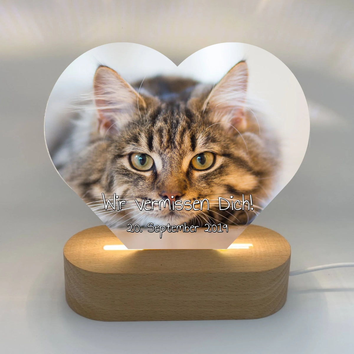 Personalisierte LED Bilder: beleuchtete Katzen Herztafel - individuelles Acryl LED Licht in Herzform | Personalize Palace