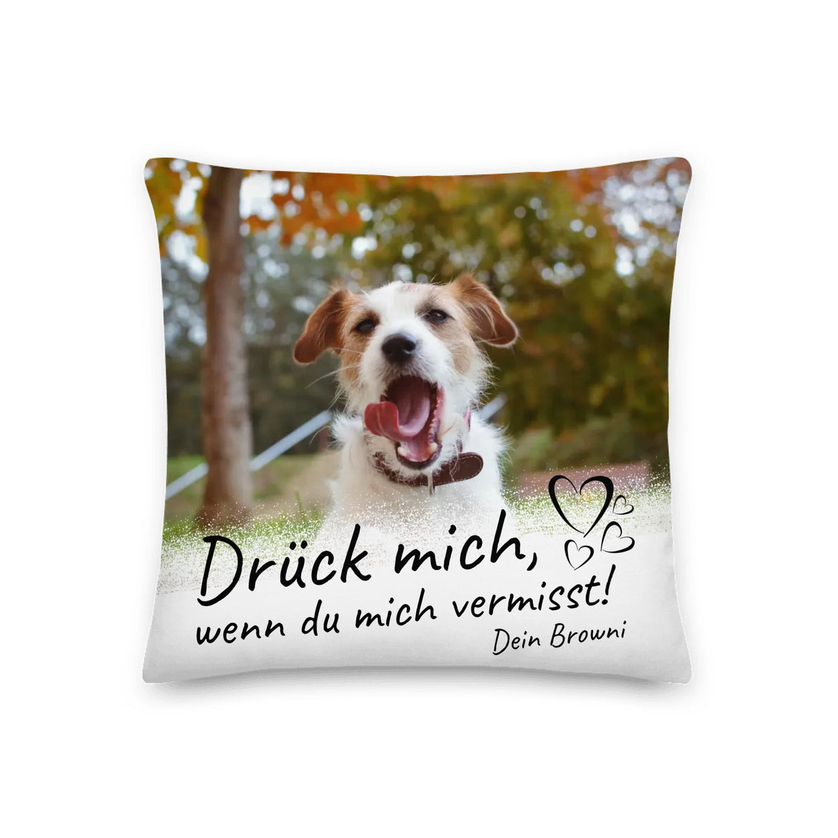 Personalisiertes Kissen: deine Erinnerung mit Foto und Trauerspruch an deine Katze – individuelles Kissen | Personalize Palace
