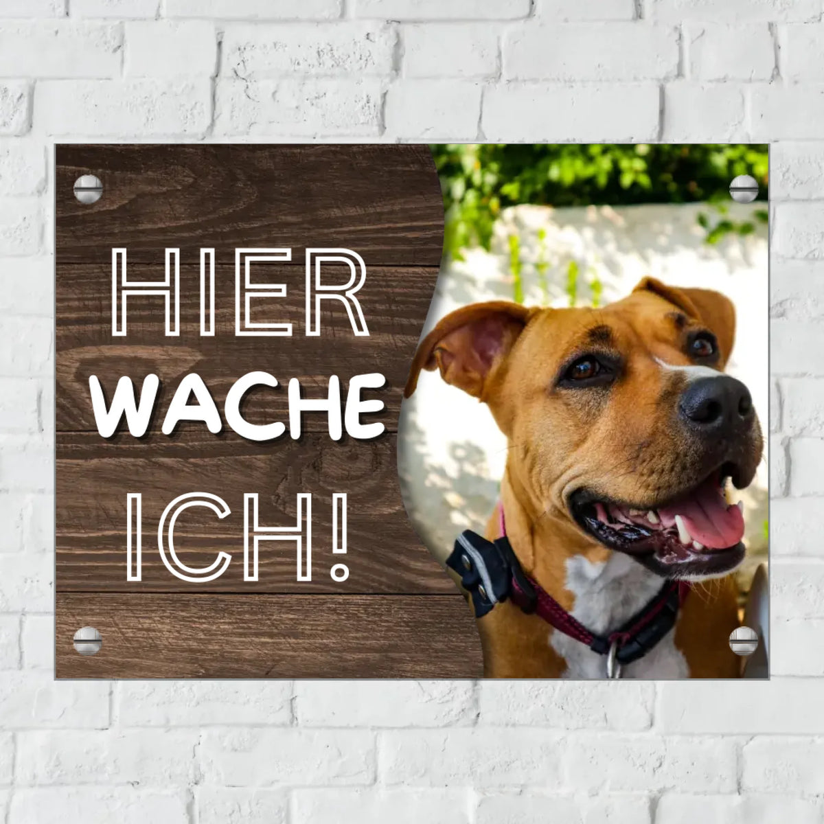 Personalisiertes Schild: "Hier wache ich" Türschild für Haus und Garten mit eigenem Foto - Individuelles Metallschild | Personalize Palace
