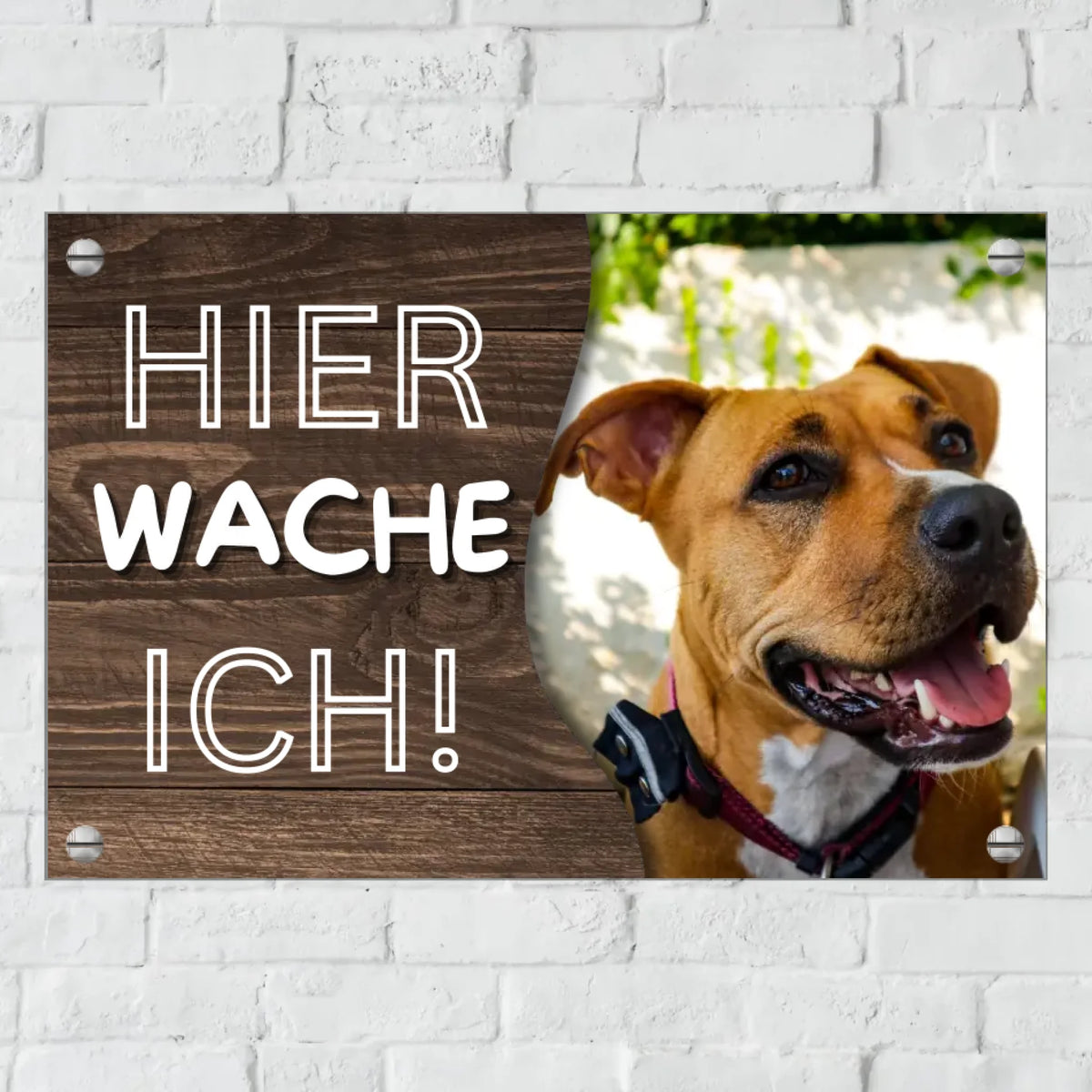 Personalisiertes Schild: "Hier wache ich" Türschild für Haus und Garten mit eigenem Foto - Individuelles Metallschild | Personalize Palace