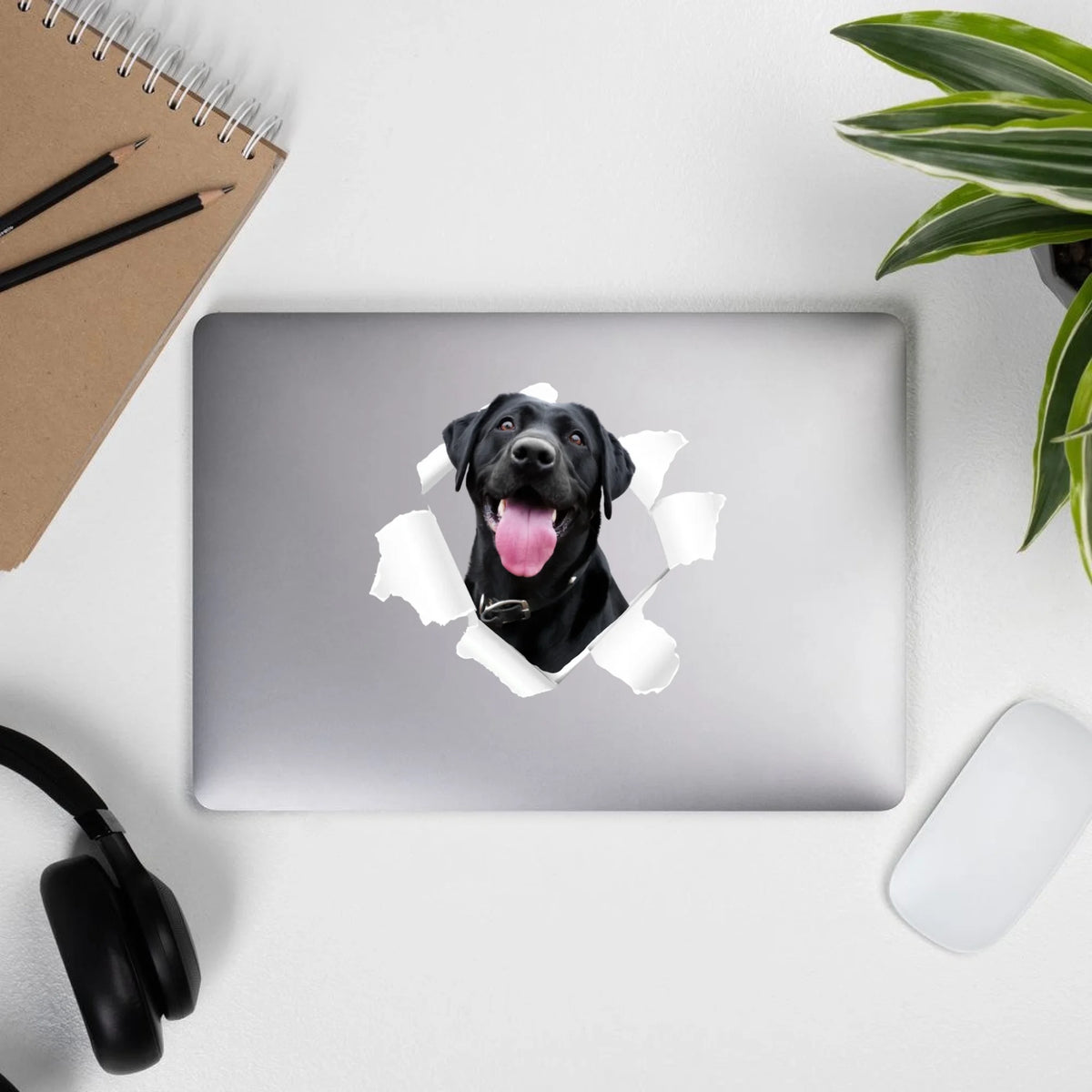 DOG MOM mit Foto und Text - Individueller Autoaufkleber | Personalize Palace